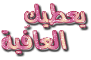 تامر حسني - يا انا يا مافيش / من فيلم نور عيني 36772